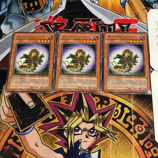 英語版 シールド・ワーム 1 レア 3枚セット てら