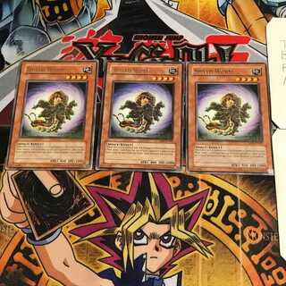 English Shield Worm 4 rare, set of 3 Tera.