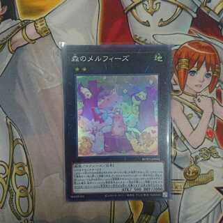 森のメルフィーズ