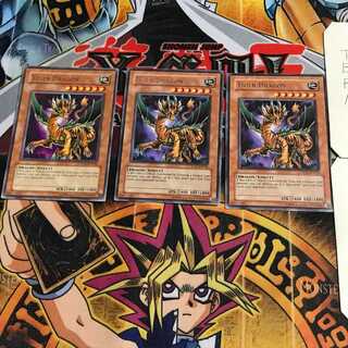 英語版 タイガードラゴン 4 レア 3枚セット てら