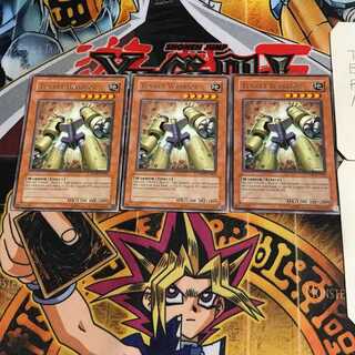 英語版 ターレット・ウォリアー 4 レア 3枚セット てら