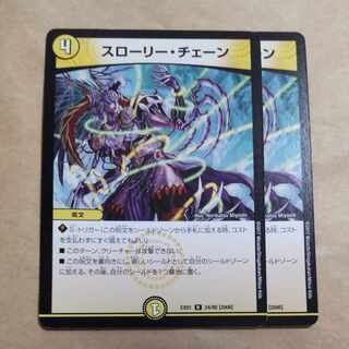 スローリー・チェーン R 24/80 [2006]