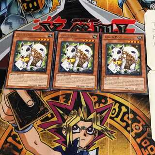 English Chain Dog 4 rare, set of 3 Tera.