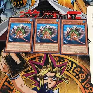 英語版 トゥーン・マーメイド 1 レア 3枚セット てら