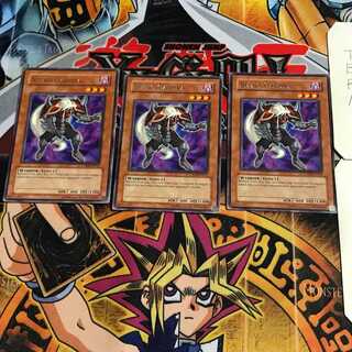 English Necro Gardna 1 rare, set of 3 Tera.