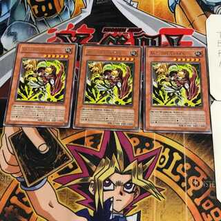 英語版 ピューマン 1 レア 3枚セット てら