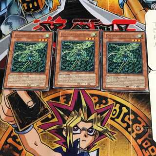 英語版 フォーチュンレディ・ウインディー 2 レア 3枚セット てら