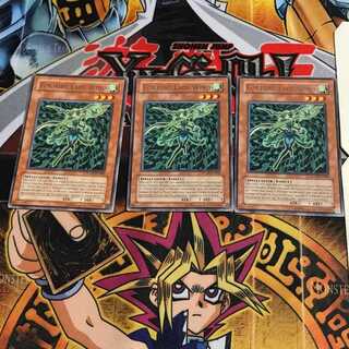 英語版 フォーチュンレディ・ウインディー 3 レア 3枚セット てら