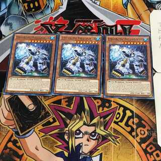 English Béarcti - Mega Paula 5 Rare, set of 3 Tera.