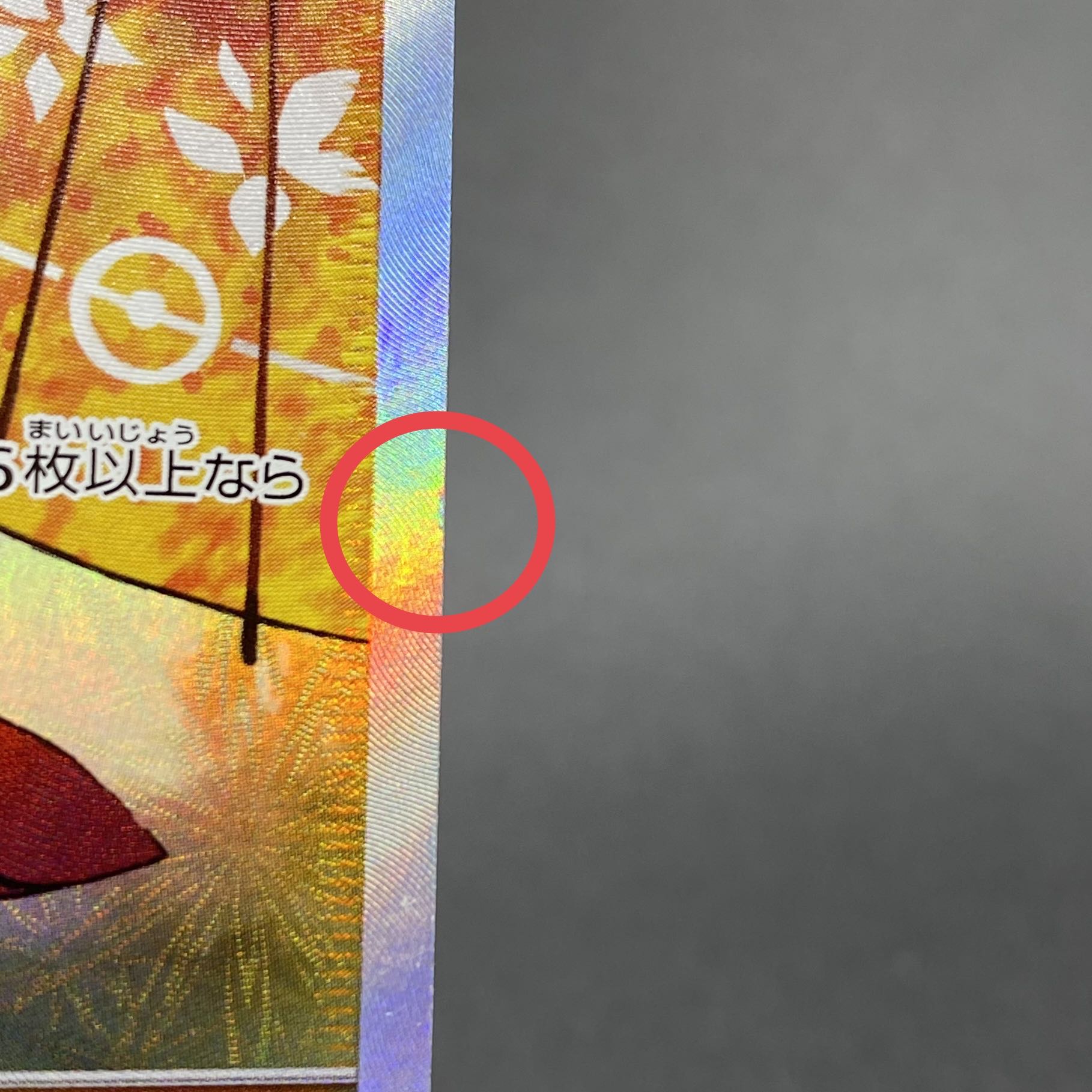 Erika's Hospitality SR 190/173