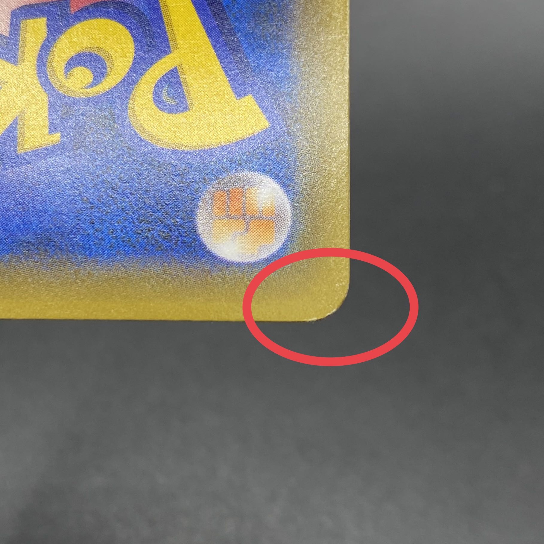 Erika's Hospitality SR 190/173