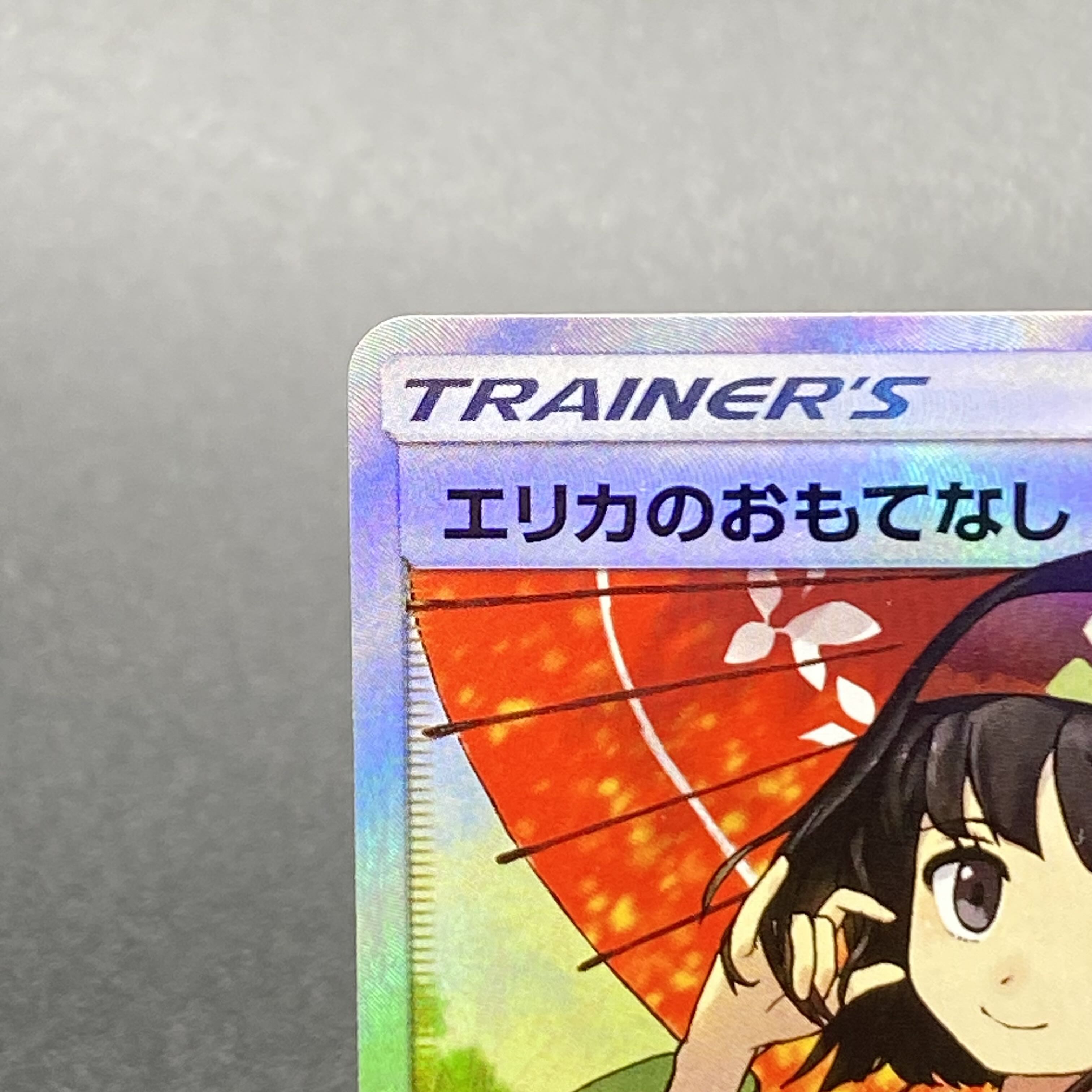 Erika's Hospitality SR 190/173