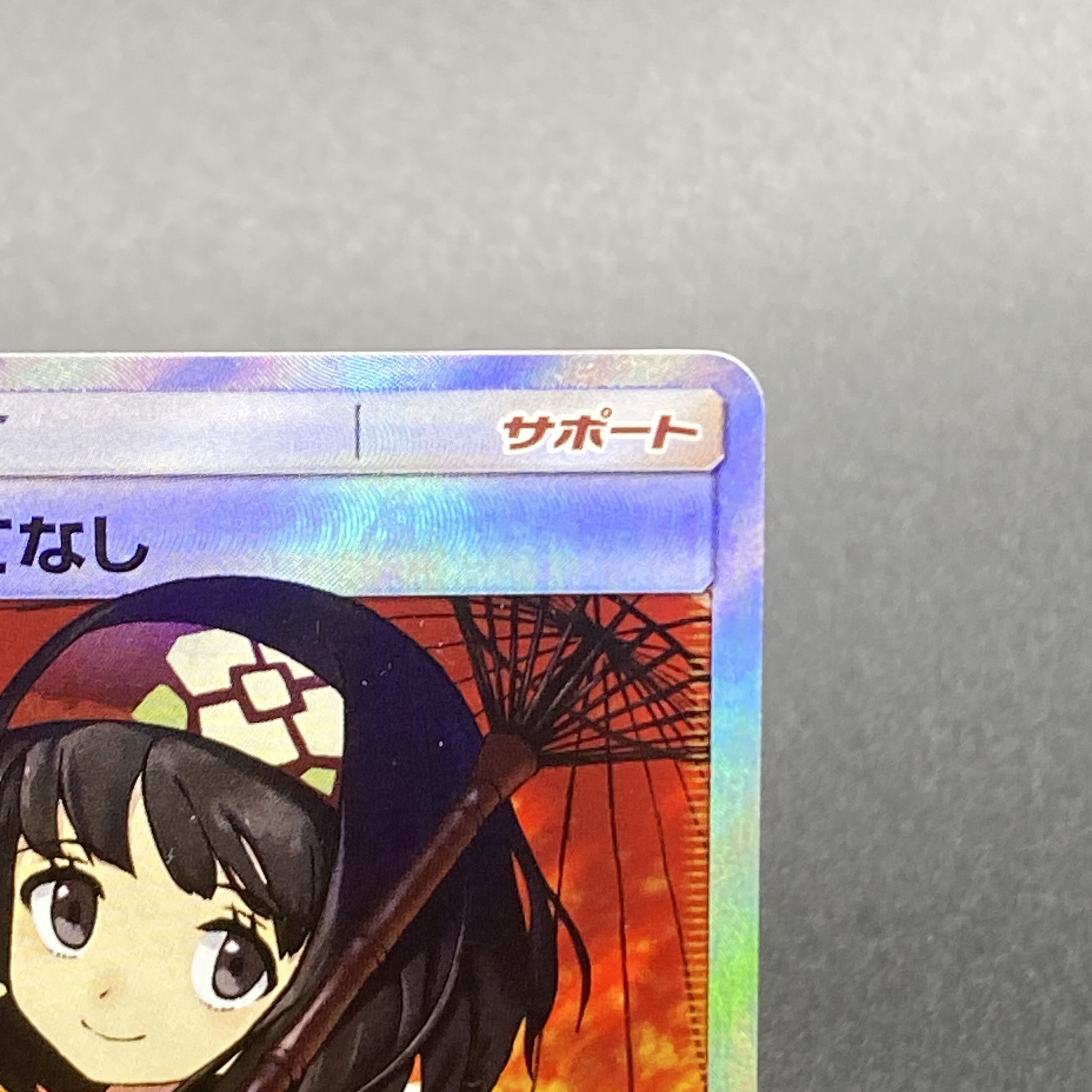 Erika's Hospitality SR 190/173