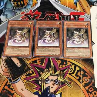 英語版 マジキャット 6 レア 3枚セット てら