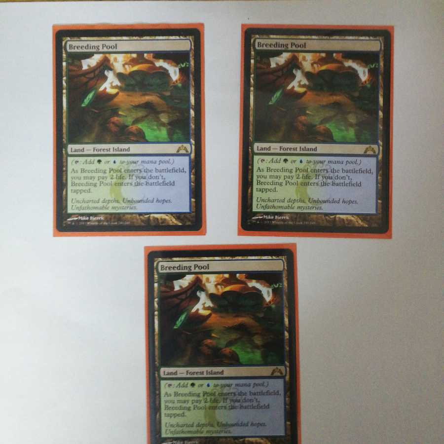 繁殖池 英語版 3枚セット