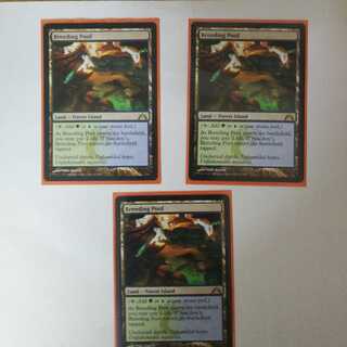 繁殖池 英語版 3枚セット