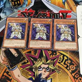 English Garoth, Lightsworn Warrior 3 rare, set of 3 Tera.