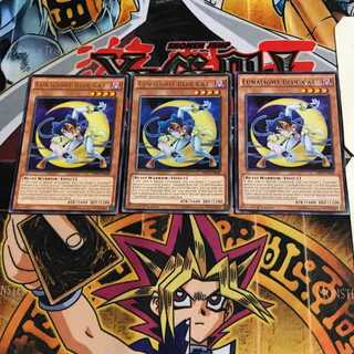 英語版 月光蒼猫 1 レア 3枚セット てら