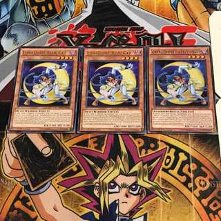 英語版 月光蒼猫 2 レア 3枚セット てら