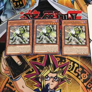 英語版 甲虫装機 ホッパー 5 レア 3枚セット てら