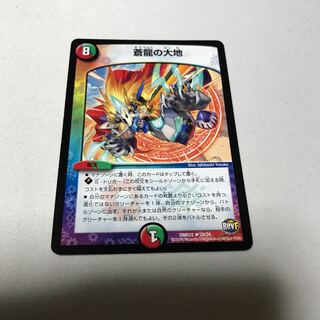 スマイル様　専用蒼龍の大地