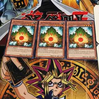 英語版 森の聖霊 エーコ 2 レア 3枚セット てら