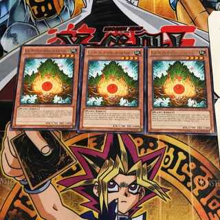 英語版 森の聖霊 エーコ 3 レア 3枚セット てら