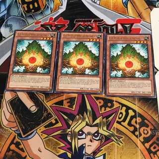 英語版 森の聖霊 エーコ 4 レア 3枚セット てら