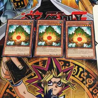 英語版 森の聖霊 エーコ 5 レア 3枚セット てら