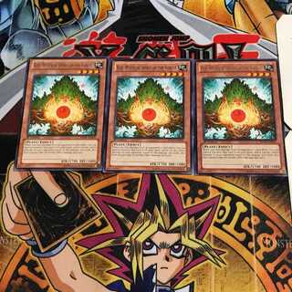 英語版 森の聖霊 エーコ 6 レア 3枚セット てら