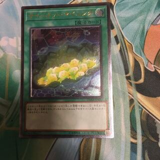 サイバネットマイニング