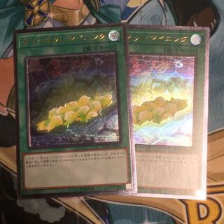 サイバネットマイニング