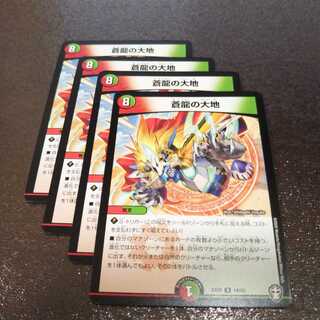 蒼龍の大地4枚005