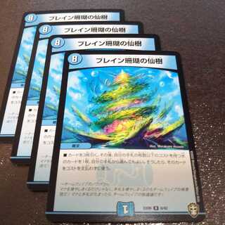 ブレイン珊瑚の仙樹4枚005