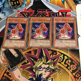 英語版 返り咲く薔薇の大輪 2 レア 3枚セット てら