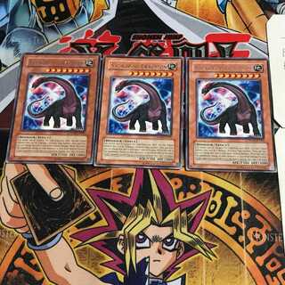 英語版 竜影魚レイ・ブロント 2 レア 3枚セット てら