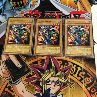 英語版 ブラッド・ヴォルス 1 レア 3枚セット てら