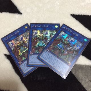 SENKAKU Sangryu Siku 3 pieces