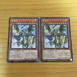 真竜剣士マスターP 2点セット