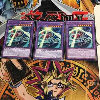 英語版 月光舞猫姫 2 レア 3枚セット てら