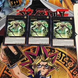 英語版 No.69 紋章神 コート・オブ・アームズ 1 レア 3枚セット てら