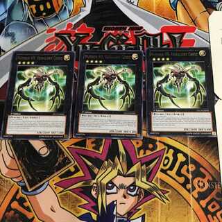 英語版 No.69 紋章神 コート・オブ・アームズ 8 レア 3枚セット てら