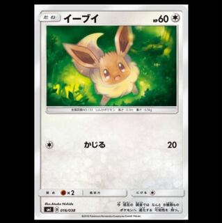 枚数調整可 イーブイ