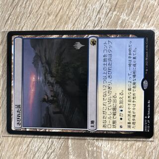 Deserted Beach Rare 281/277 1枚