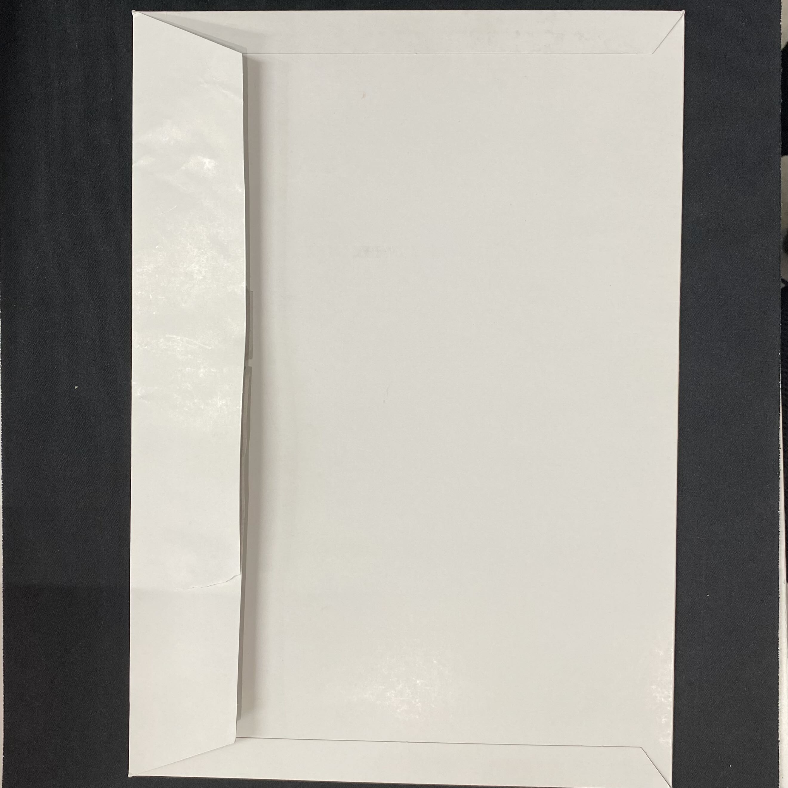 夏ポケカ 未開封 ブースターVMAX サンダースVMAX シャワーズVMAX PROMO S-P