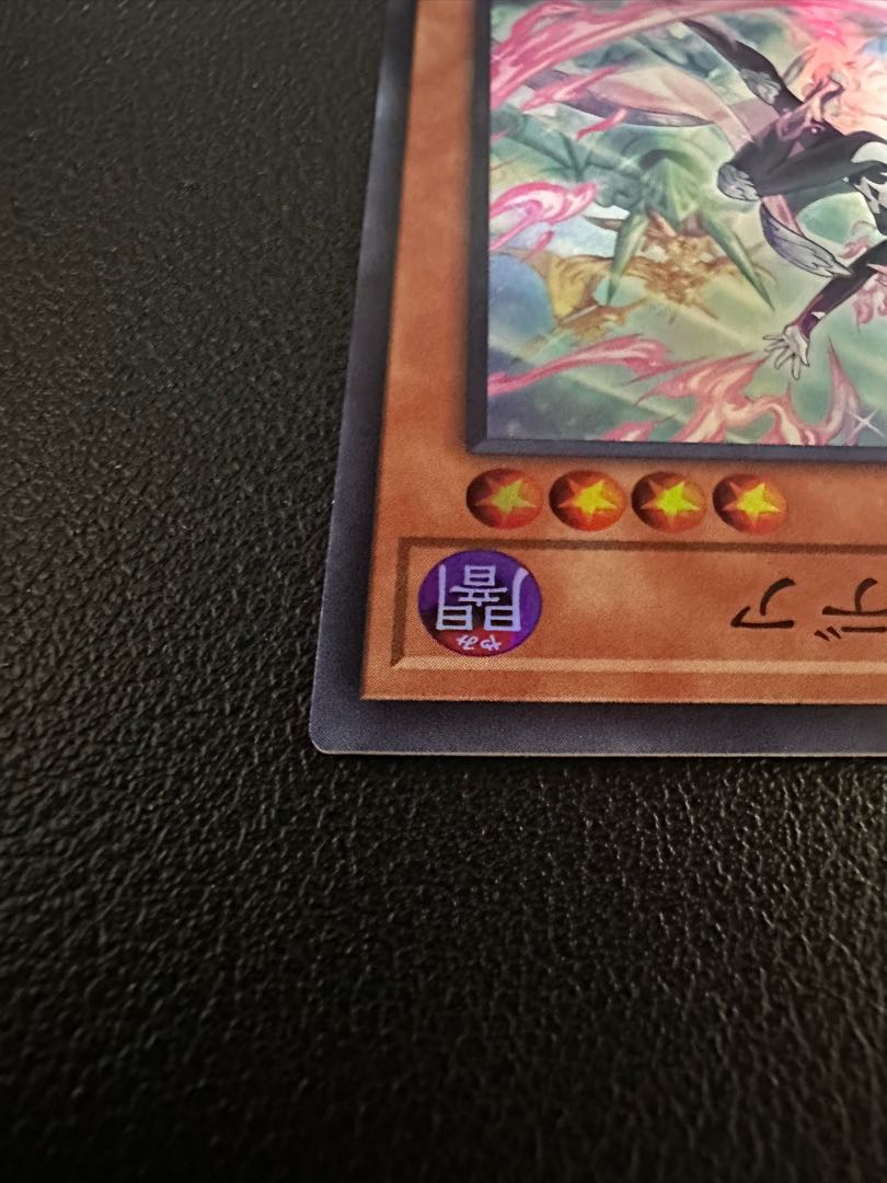 従騎士トゥルーデア スーパーレア JP017