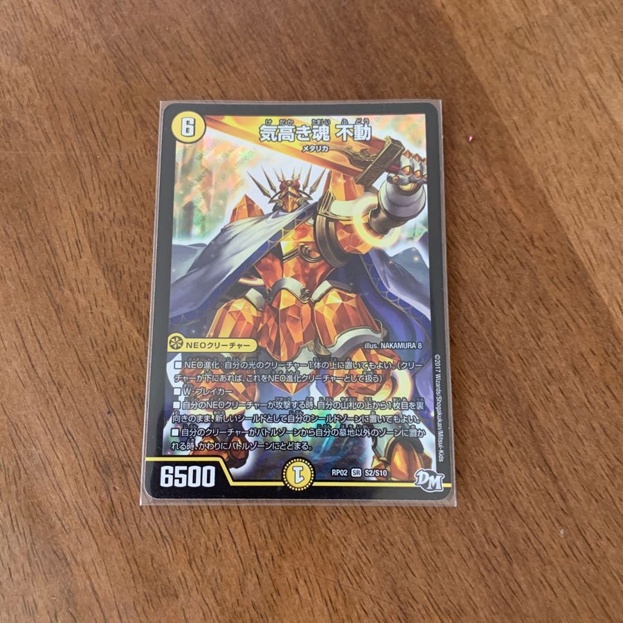 気高き魂 不動2枚