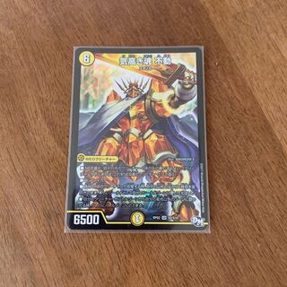 気高き魂 不動2枚