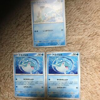 Namibian dolphin C 029/108