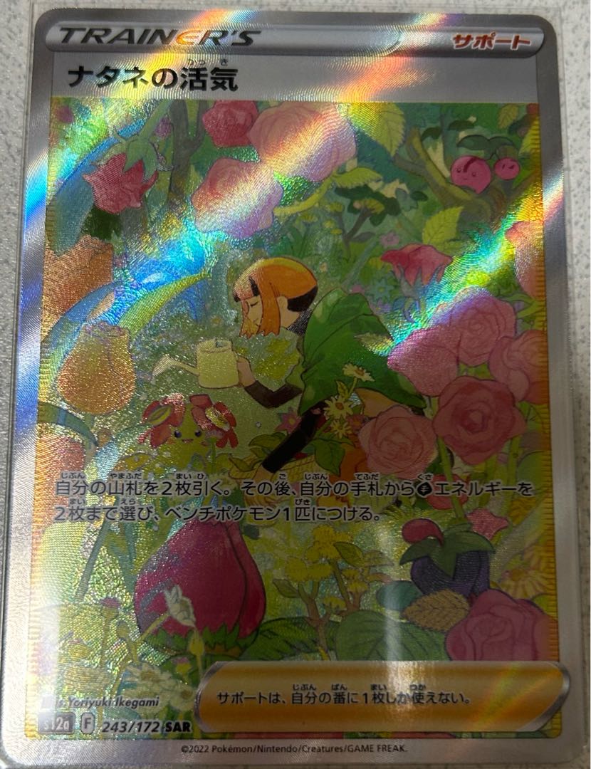 ナタネの活気 SAR